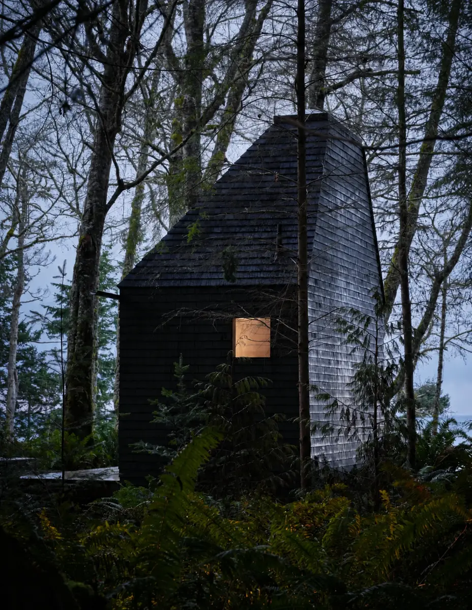 A sculptural black Menizei building among ferns and tall trees