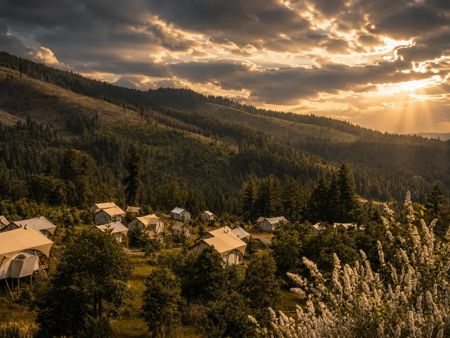 Canvas tents dotting a forested hillside at sunset.