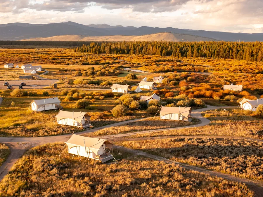 Aerial view of tan glamping tents winding through golden autumn meadow and pines.